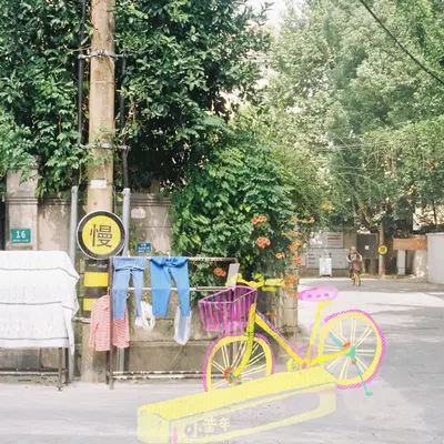 小黄车封面