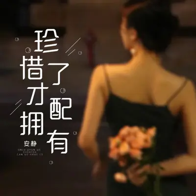 珍惜才配拥有(DJ何鹏版) - 安静封面