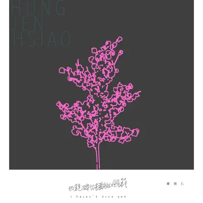 我还是没带你去看先知玛莉封面