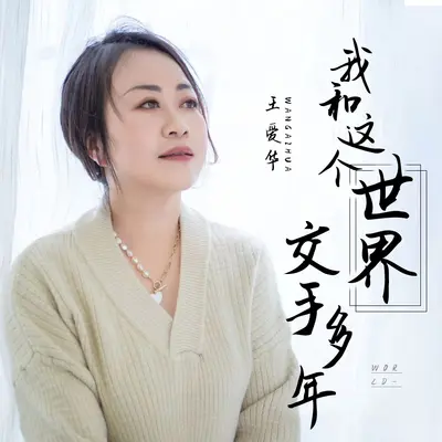 我和这个世界交手多年(Dj伯格版)封面