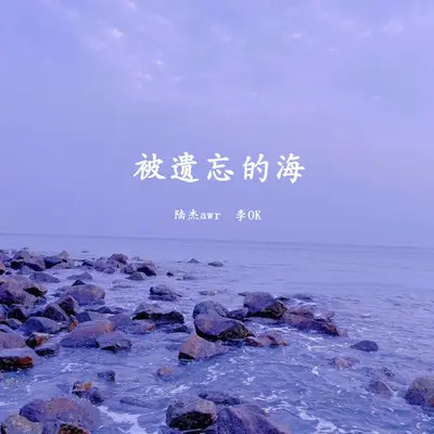 被遗忘的海(伴奏)封面