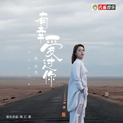有幸爱过你封面