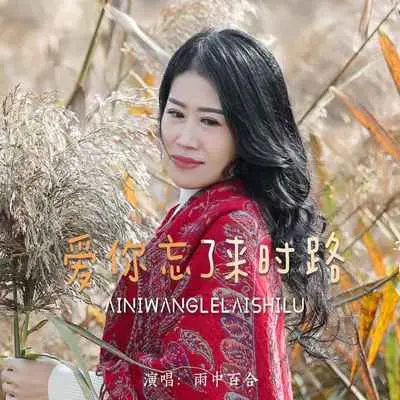 爱你忘了来时路(DJ默涵版)封面