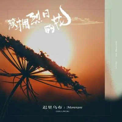 簇拥烈日的花封面