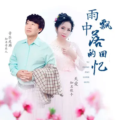 雨中飘落的回忆 (舞曲版)封面