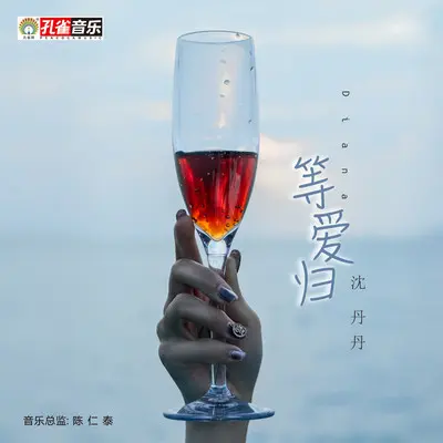 等爱归 - 沈丹丹封面