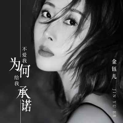 不爱我为何给我承诺(伴奏)封面
