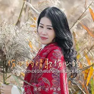 伤心的情歌伤心的人封面