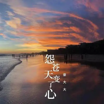 征服(DJ豪大大版)(DJ豪大大版) - 豪大大 / 王韵封面