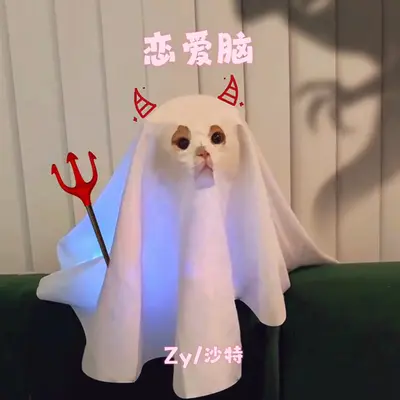 恋爱脑封面