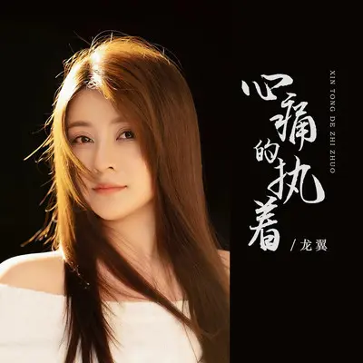 心痛的执着(DJ彭锐版伴奏)封面