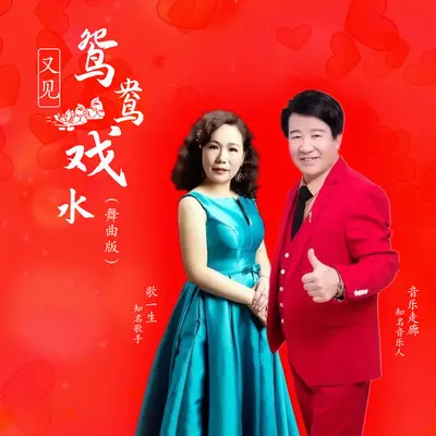 又见鸳鸯戏水(舞曲版)封面
