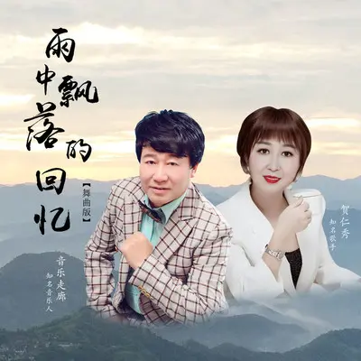 雨中飘落的回忆(舞曲版伴奏) - 音乐走廊 / 贺仁秀封面