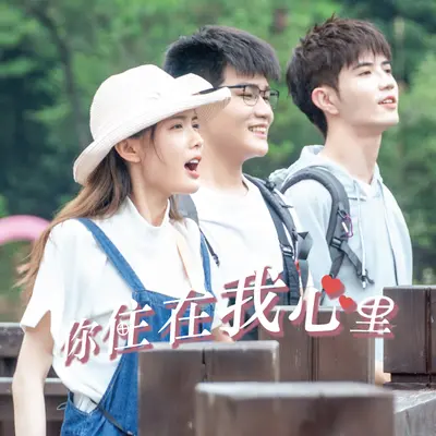 星辰与晚风(电视剧《你住在我心里》片尾曲)封面