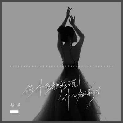 你什么都敢说什么都承诺 - 赵洋封面