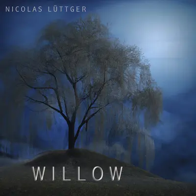 Willow封面