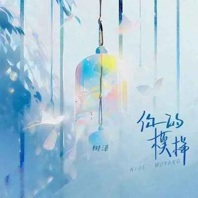 你的模样封面