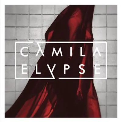 La Vida Entera - Camila封面