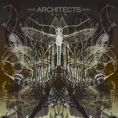 Heartless - Architects封面
