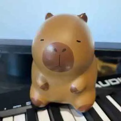 我想要做个小富婆封面