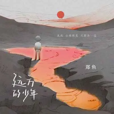 远方的少年封面