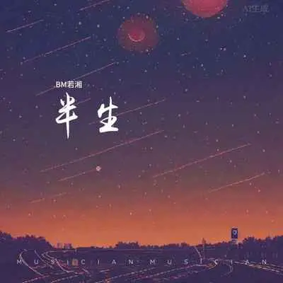 半生封面