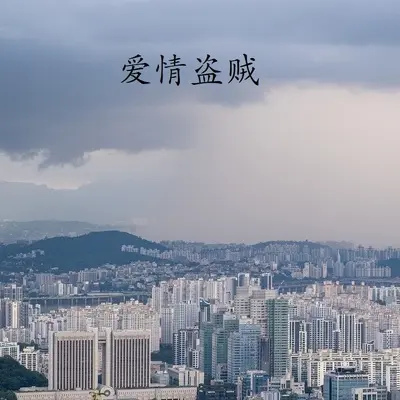 抓不住回忆封面