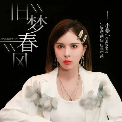旧梦春风封面