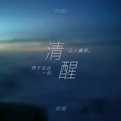 清醒（DJ版）封面