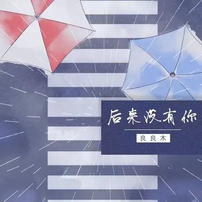 后来没有你封面