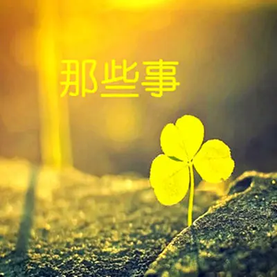我需要你宝贝封面