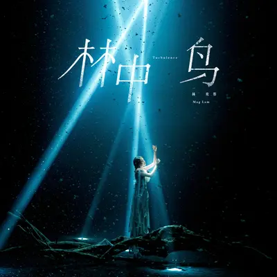 林中鸟封面