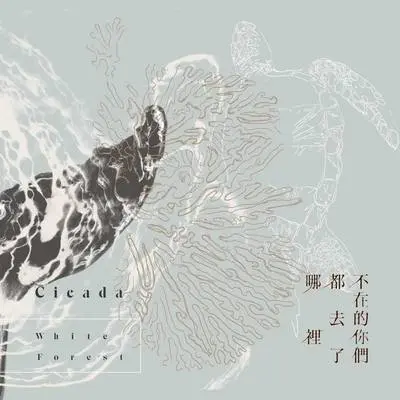 不在的你们都去了哪里 - Cicada封面