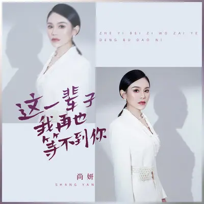 下辈子别再让我遇见你封面