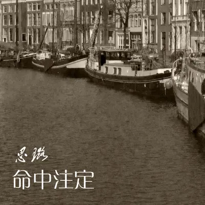 你会不会封面