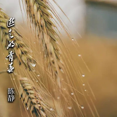 金色的秘密 - 陈静封面