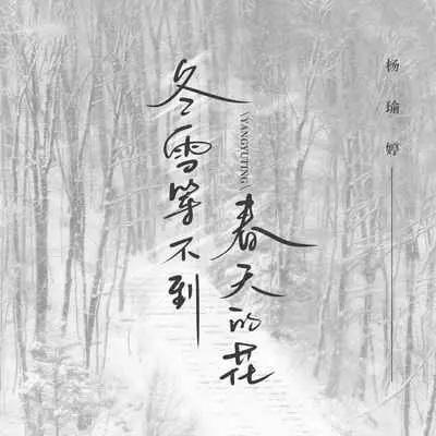 冬雪等不到春天的花封面