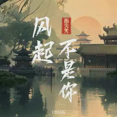 风起不是你 (EDM版)封面
