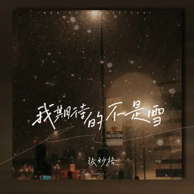 我期待的不是雪 (而是有你的冬天)(DJ阿卓版)封面