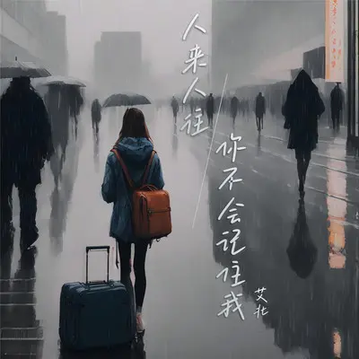 人来人往你不会记住我封面
