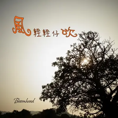 风轻轻仔吹封面