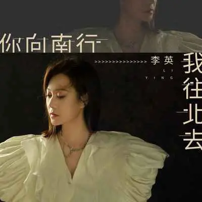 你向南行我往北去(DJ九零版伴奏)封面