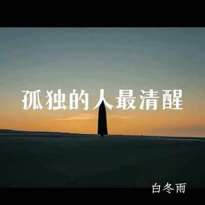 孤独的人最清醒封面