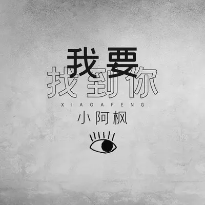 我要找到你 (DJ辉总版)封面