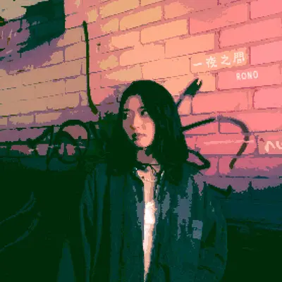 一夜之间封面