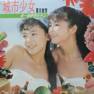 不想睡的红舞鞋封面