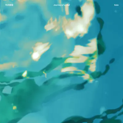 海上的风封面