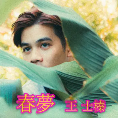春梦封面