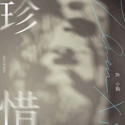 珍惜封面