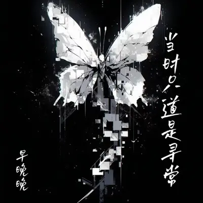 当时只道是寻常封面